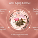 3-Zonen Anti-Aging Set