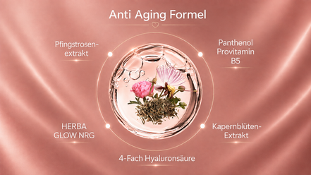3-Zonen Anti-Aging Set